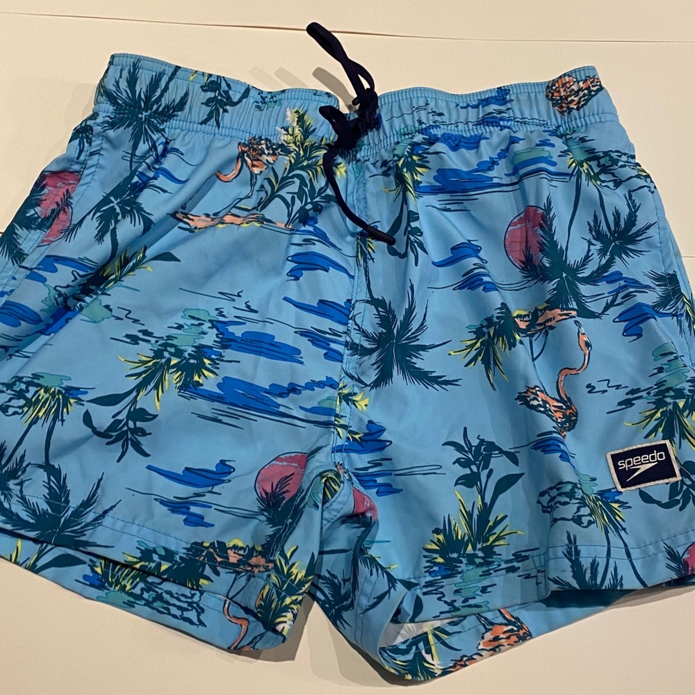Speedo Blue Swim Trunks (Medium)